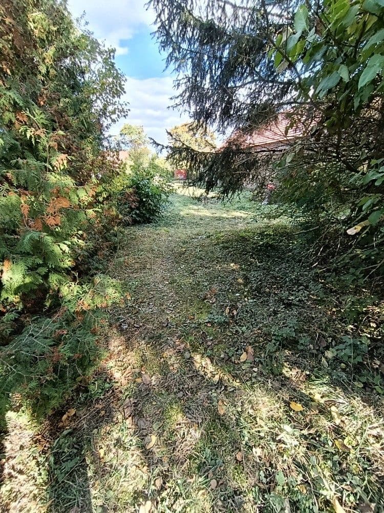Prodej pozemku 1.232 m², Hluchov, Olomoucký kraj Prodej pozemku 1.232 m², Hluchov, Olomoucký kraj