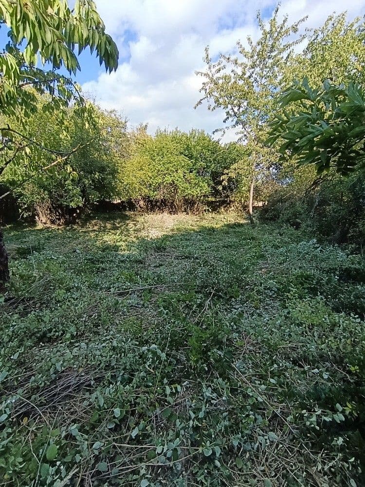 Prodej pozemku 1.232 m², Hluchov, Olomoucký kraj Prodej pozemku 1.232 m², Hluchov, Olomoucký kraj
