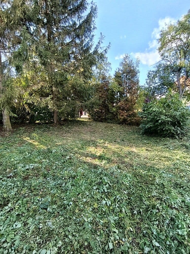 Prodej pozemku 1.232 m², Hluchov, Olomoucký kraj Prodej pozemku 1.232 m², Hluchov, Olomoucký kraj