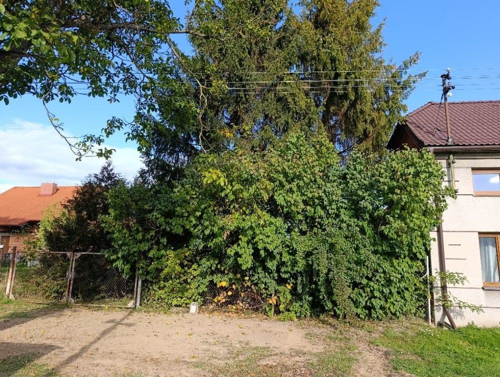 Prodej pozemku 1.232 m², Hluchov, Olomoucký kraj Prodej pozemku 1.232 m², Hluchov, Olomoucký kraj