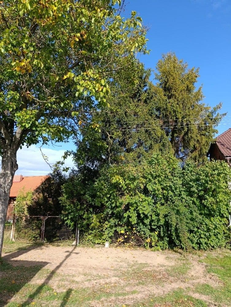 Prodej pozemku 1.232 m², Hluchov, Olomoucký kraj Prodej pozemku 1.232 m², Hluchov, Olomoucký kraj