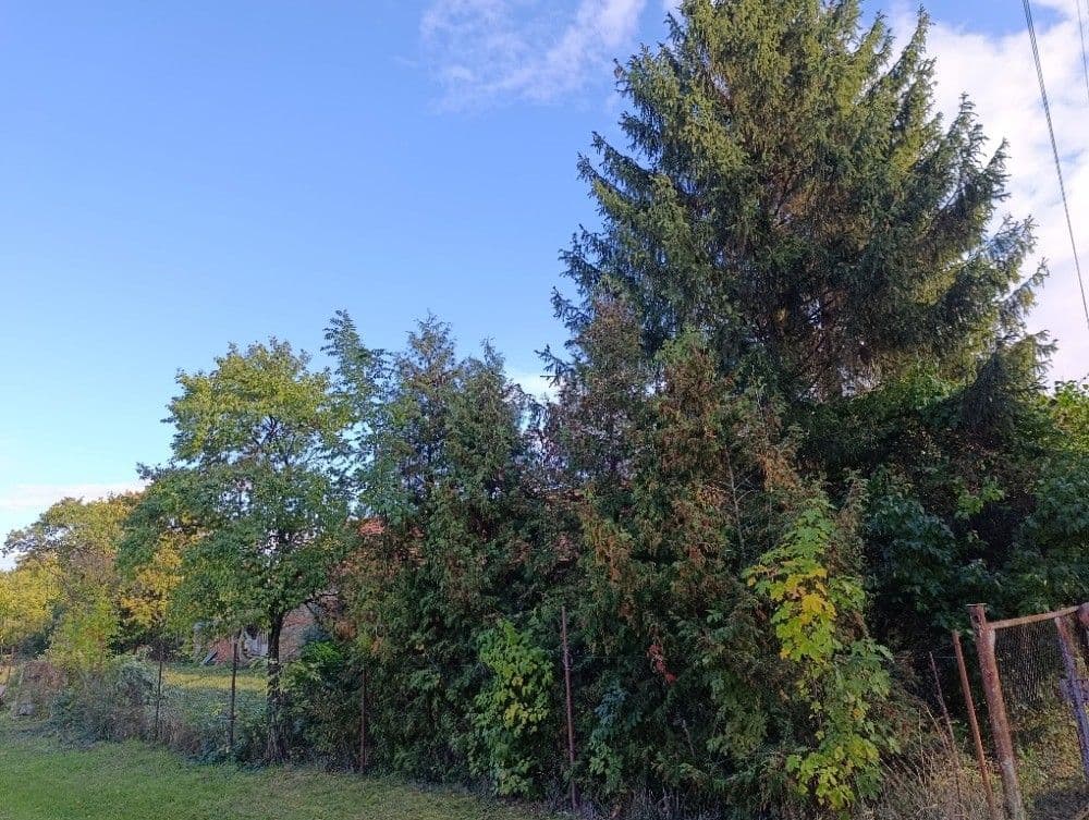Prodej pozemku 1.232 m², Hluchov, Olomoucký kraj Prodej pozemku 1.232 m², Hluchov, Olomoucký kraj