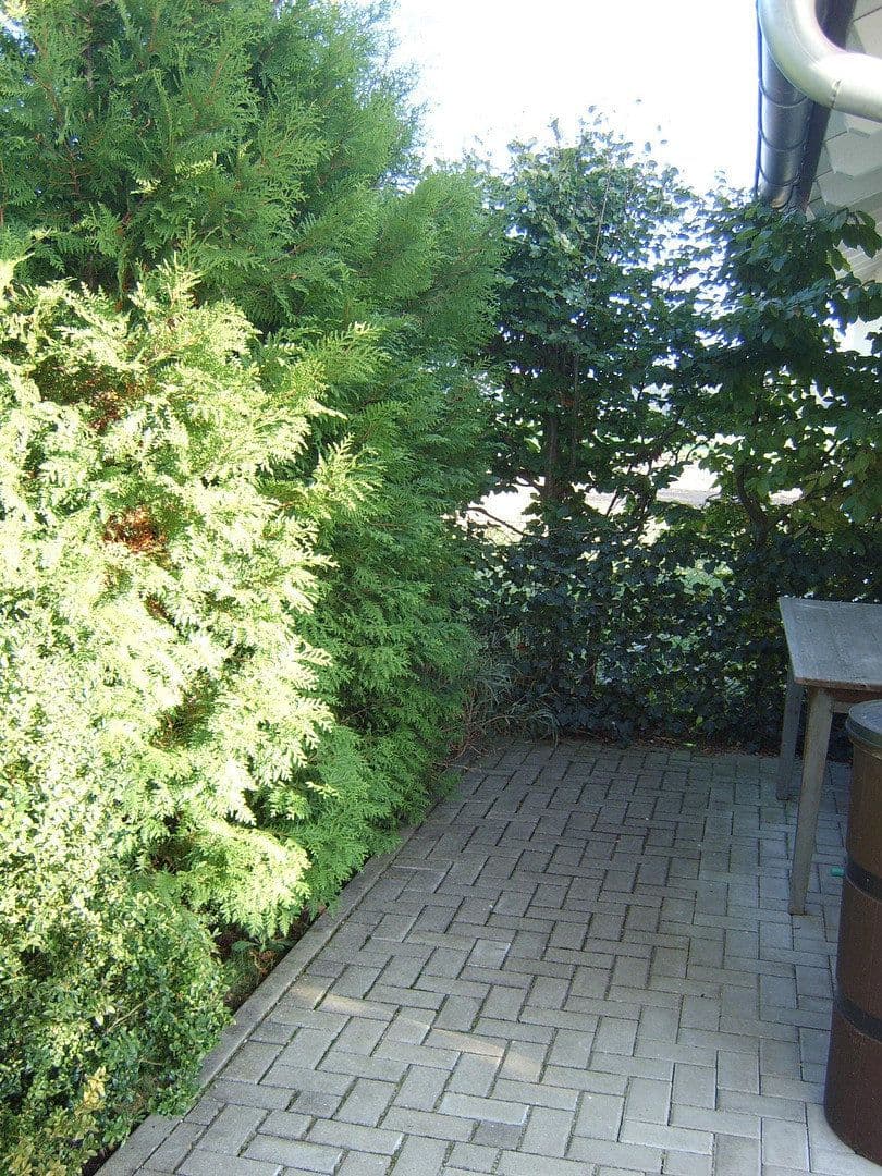 Pronájem domu 210 m², pozemek 500 m², Elkofener Weg 31, Grafing b. München, Bavorsko Pronájem domu 210 m², pozemek 500 m², Elkofener Weg 31, Grafing b. München, Bavorsko