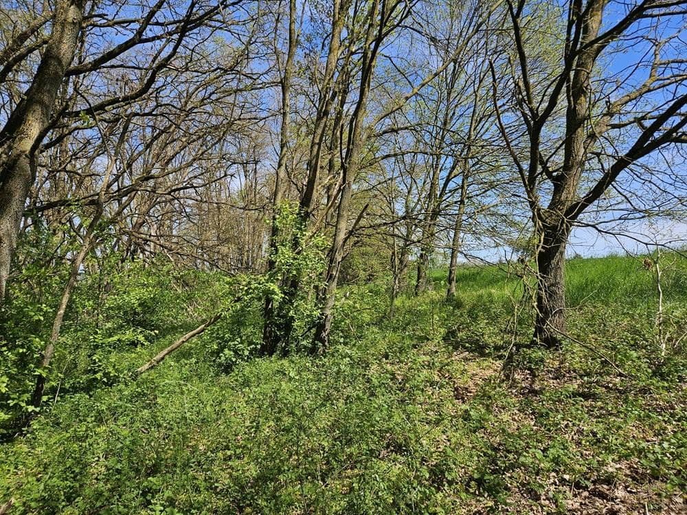 Prodej pozemku 4.330 m², Bischberg, Bavorsko Prodej pozemku 4.330 m², Bischberg, Bavorsko