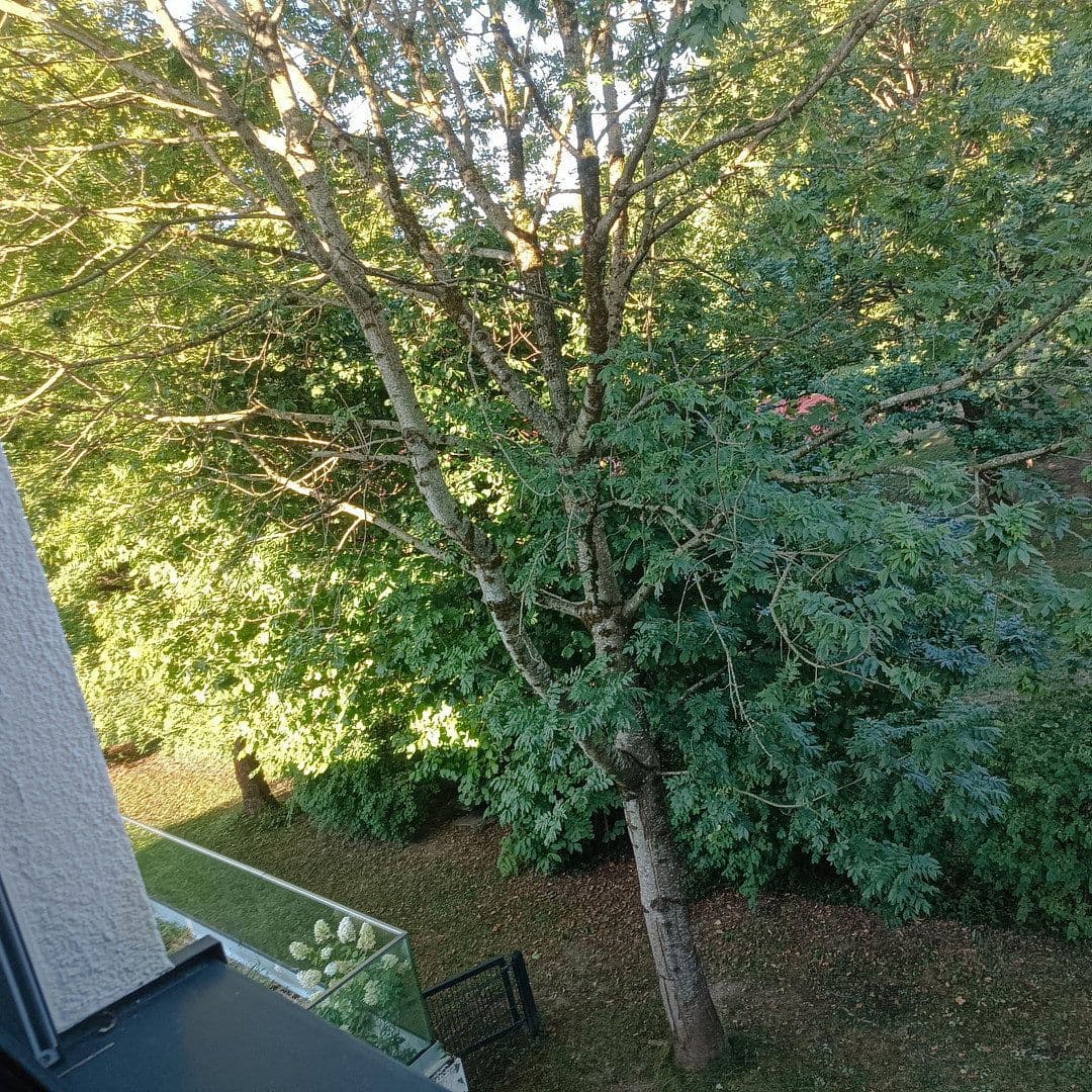 Prodej domu 188 m², pozemek 1.100 m², Traunstein, Bavorsko Prodej domu 188 m², pozemek 1.100 m², Traunstein, Bavorsko