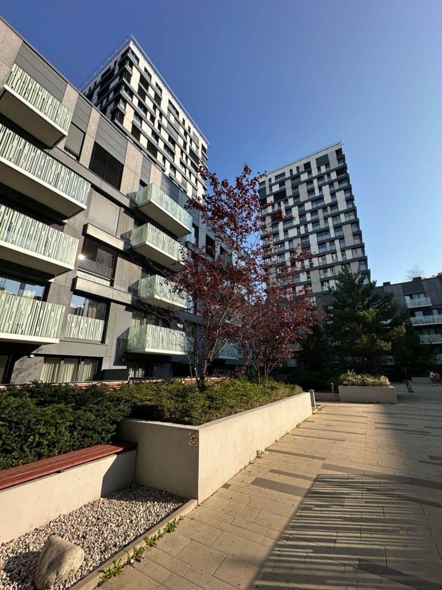 Pronájem bytu 2+1 66 m², Olšanská, Praha, Praha Pronájem bytu 2+1 66 m², Olšanská, Praha, Praha