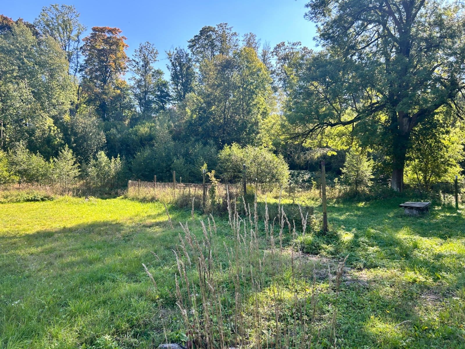 Prodej domu 95 m², pozemek 1.199 m², Smilovská, Libavá, Olomoucký kraj Prodej domu 95 m², pozemek 1.199 m², Smilovská, Libavá, Olomoucký kraj