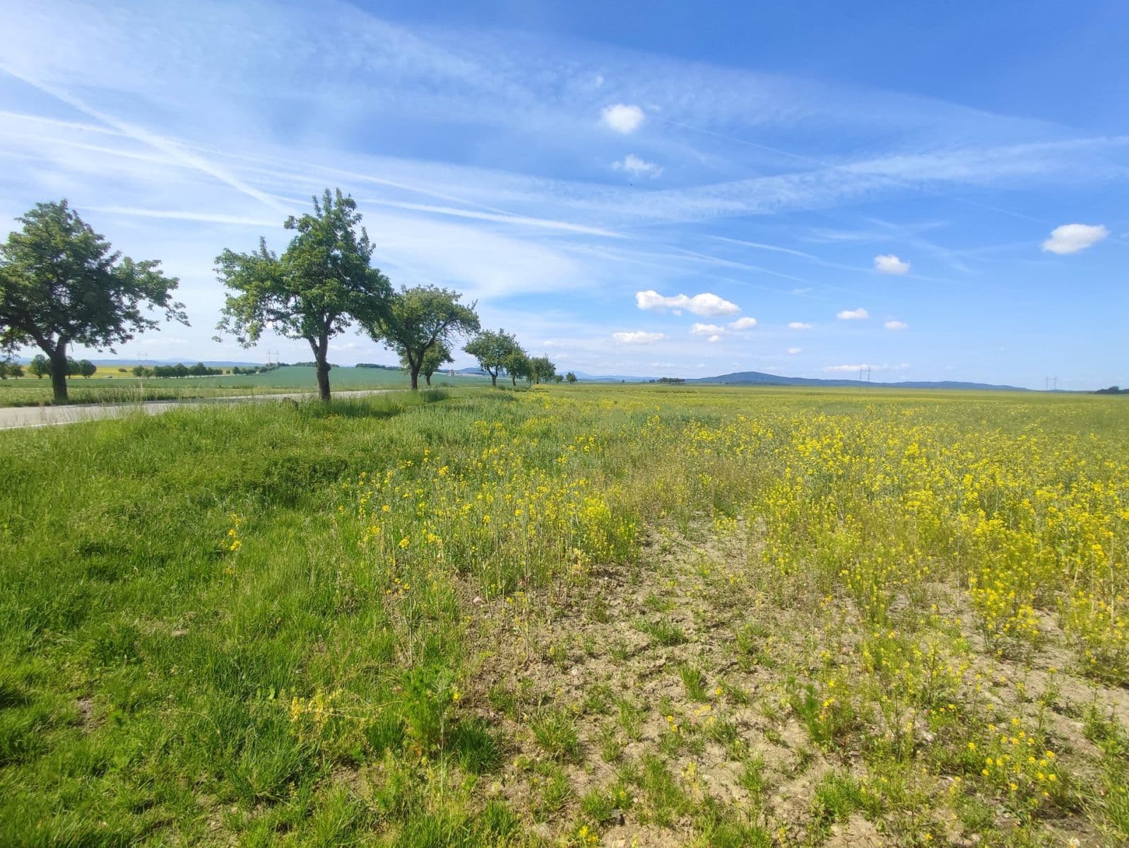 Prodej pozemku 9.000 m², Protivín, Jihočeský kraj Prodej pozemku 9.000 m², Protivín, Jihočeský kraj