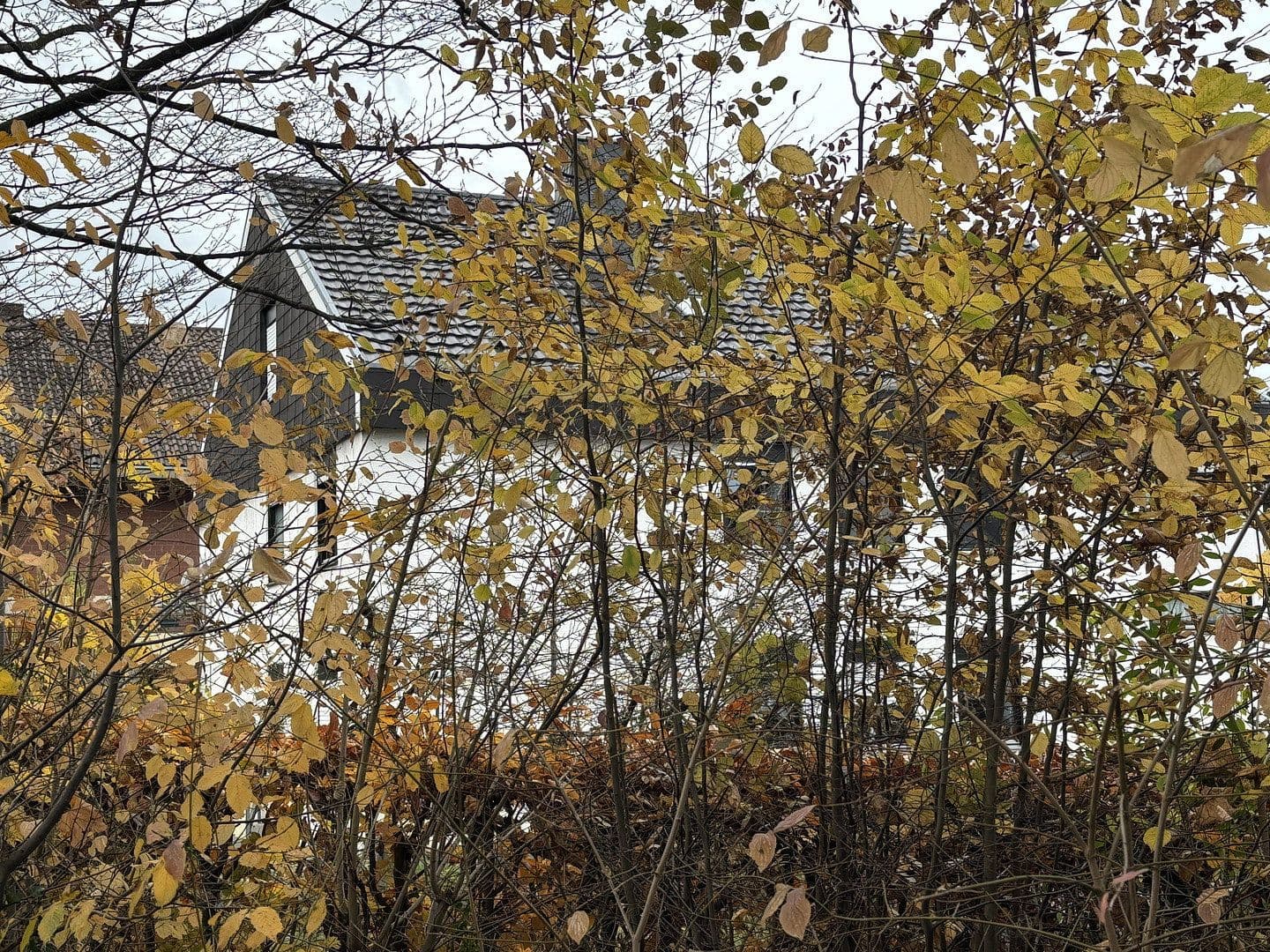 Prodej domu 370 m², pozemek 854 m², Bruchsal, Bádensko-Württembersko Prodej domu 370 m², pozemek 854 m², Bruchsal, Bádensko-Württembersko