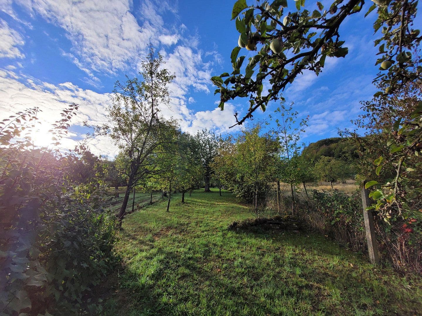 Prodej domu 150 m², pozemek 1.390 m², Kirchstraße 3, Beilstein, Bádensko-Württembersko Prodej domu 150 m², pozemek 1.390 m², Kirchstraße 3, Beilstein, Bádensko-Württembersko