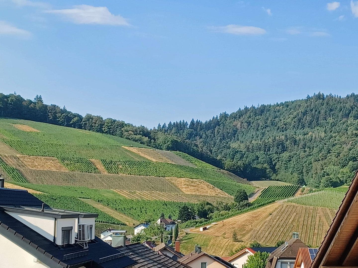Pronájem bytu 3+kk 115 m², Baden-Baden - Neuweier, Bádensko-Württembersko Pronájem bytu 3+kk 115 m², Baden-Baden - Neuweier, Bádensko-Württembersko