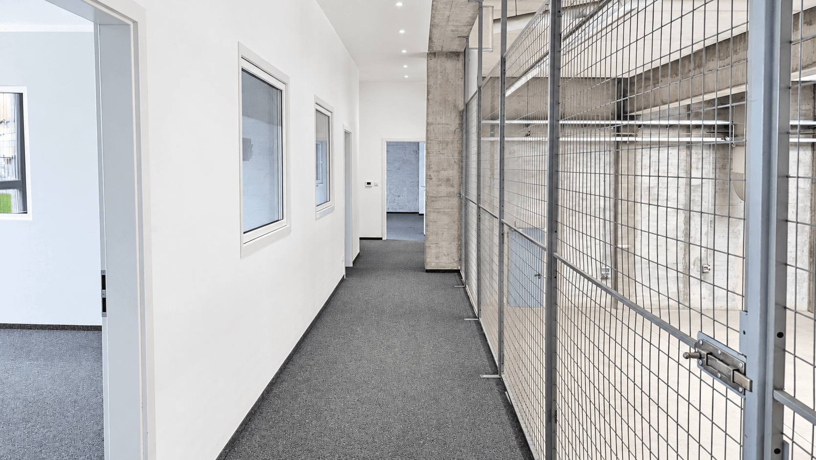 Pronájem nebytového prostoru 22.000 m², Steinbergstr. 3, Leipzig OT Holzhausen, Sasko Pronájem nebytového prostoru 22.000 m², Steinbergstr. 3, Leipzig OT Holzhausen, Sasko