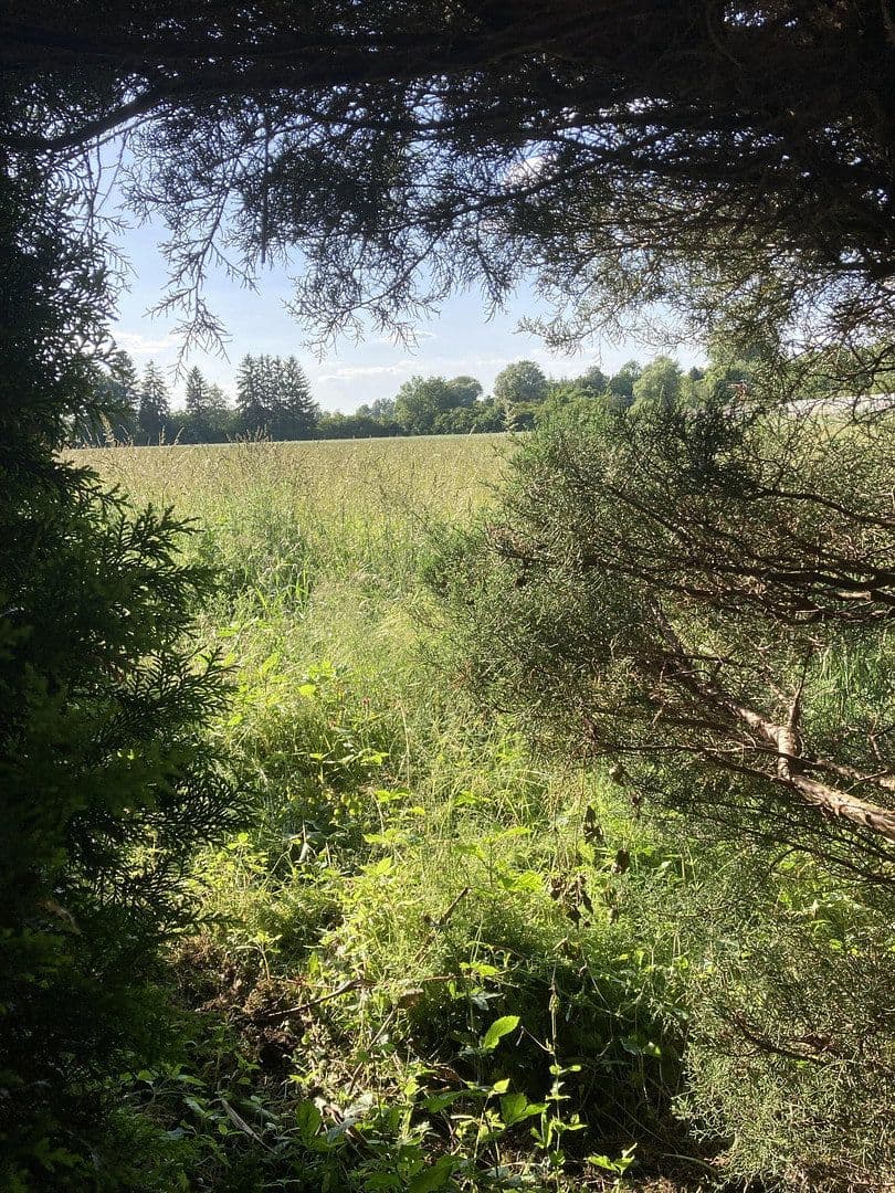 Prodej domu 120 m², pozemek 270 m², Groebenzell, Bavorsko Prodej domu 120 m², pozemek 270 m², Groebenzell, Bavorsko