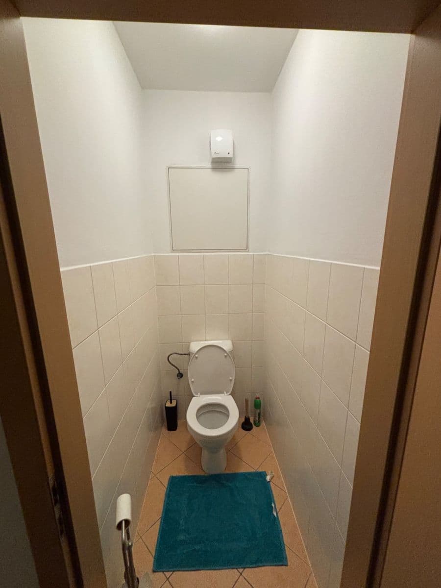 Pronájem bytu 2+kk 48 m², Berlínská, Praha, Praha Pronájem bytu 2+kk 48 m², Berlínská, Praha, Praha