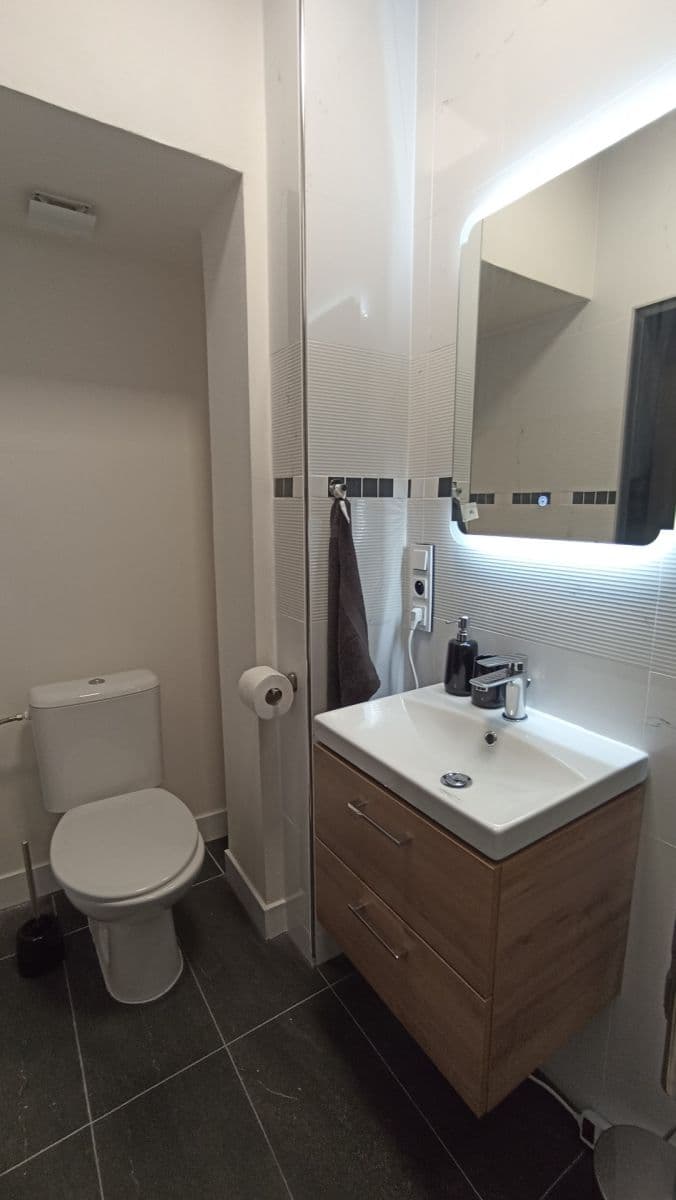 Pronájem bytu 1+kk 1 m², V Brůdku, Praha, Praha Pronájem bytu 1+kk 1 m², V Brůdku, Praha, Praha