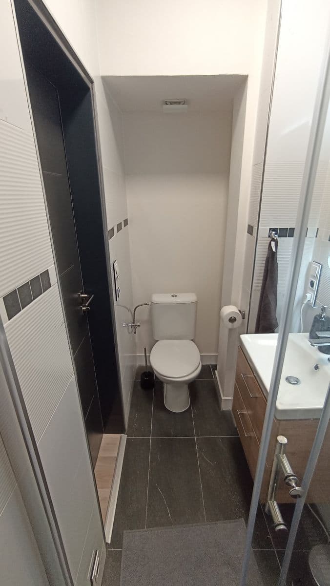 Pronájem bytu 1+kk 1 m², V Brůdku, Praha, Praha Pronájem bytu 1+kk 1 m², V Brůdku, Praha, Praha