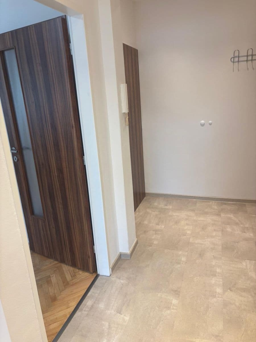 Pronájem bytu 1+1 46 m², Maškova, Brno, Jihomoravský kraj Pronájem bytu 1+1 46 m², Maškova, Brno, Jihomoravský kraj