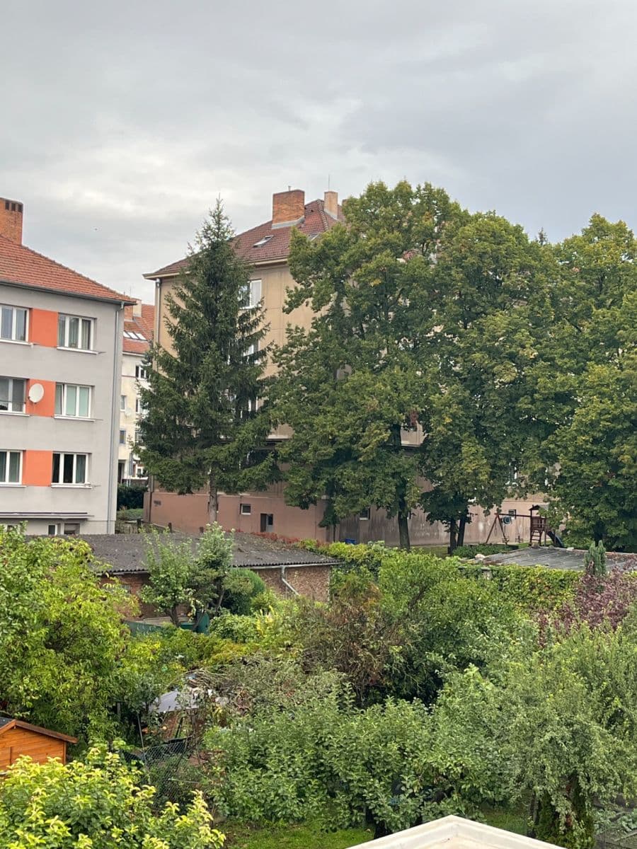 Pronájem bytu 1+1 46 m², Maškova, Brno, Jihomoravský kraj Pronájem bytu 1+1 46 m², Maškova, Brno, Jihomoravský kraj