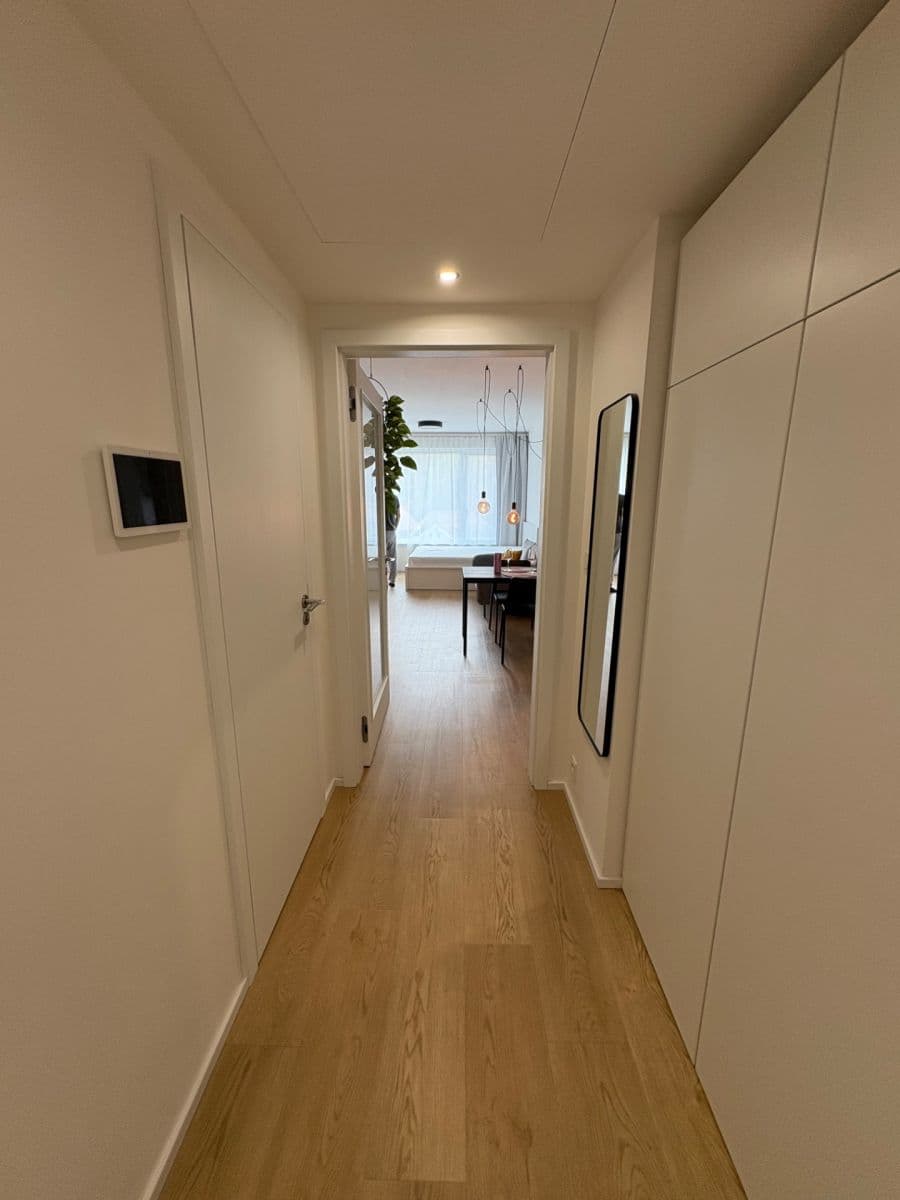 Pronájem bytu 1+kk 40 m², Skálové, Praha, Praha Pronájem bytu 1+kk 40 m², Skálové, Praha, Praha