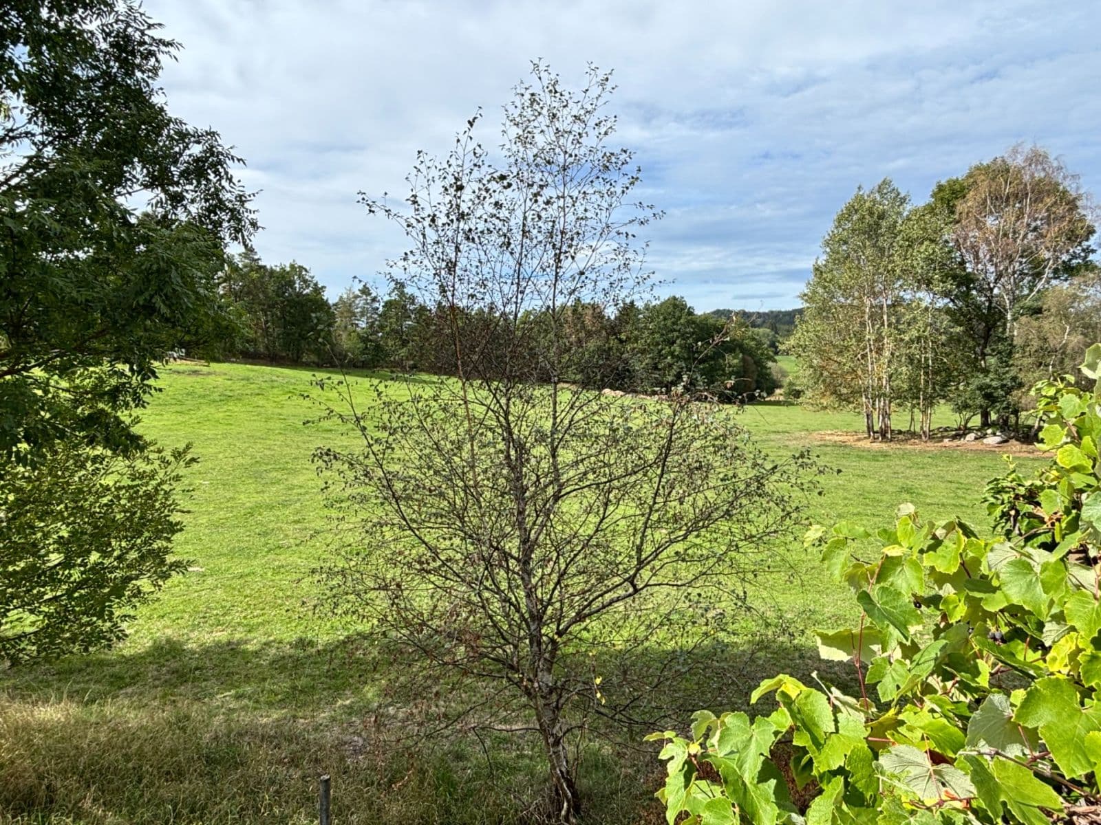 Prodej domu 125 m², pozemek 1.547 m², Kolinec, Plzeňský kraj Prodej domu 125 m², pozemek 1.547 m², Kolinec, Plzeňský kraj