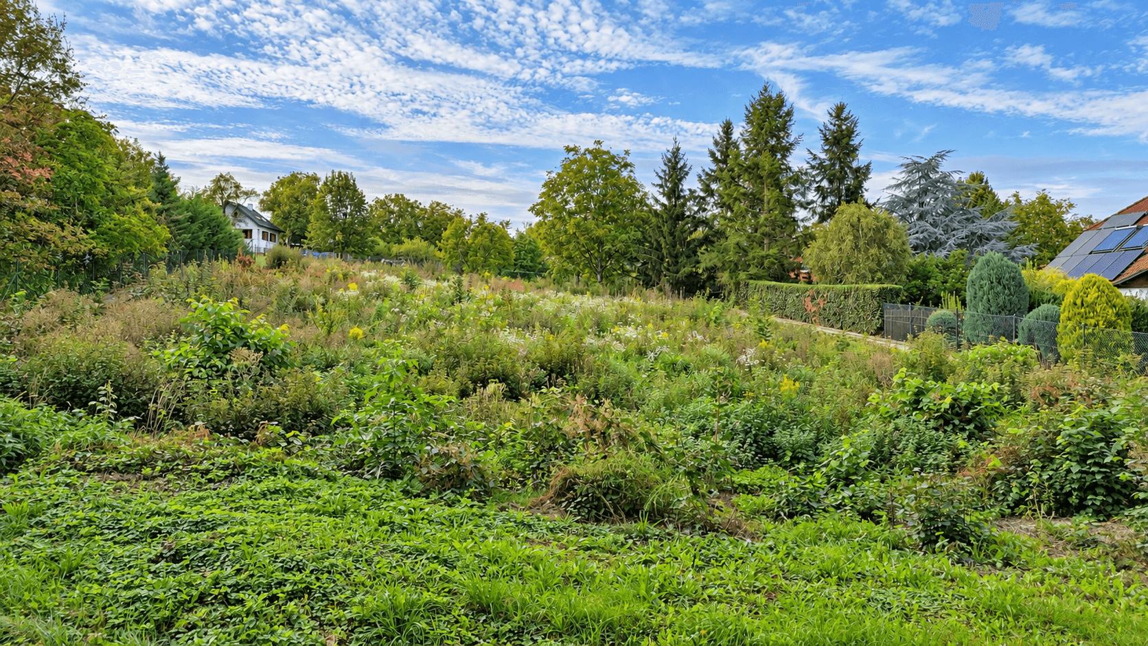 Prodej pozemku 1.816 m², Černošice, Středočeský kraj Prodej pozemku 1.816 m², Černošice, Středočeský kraj