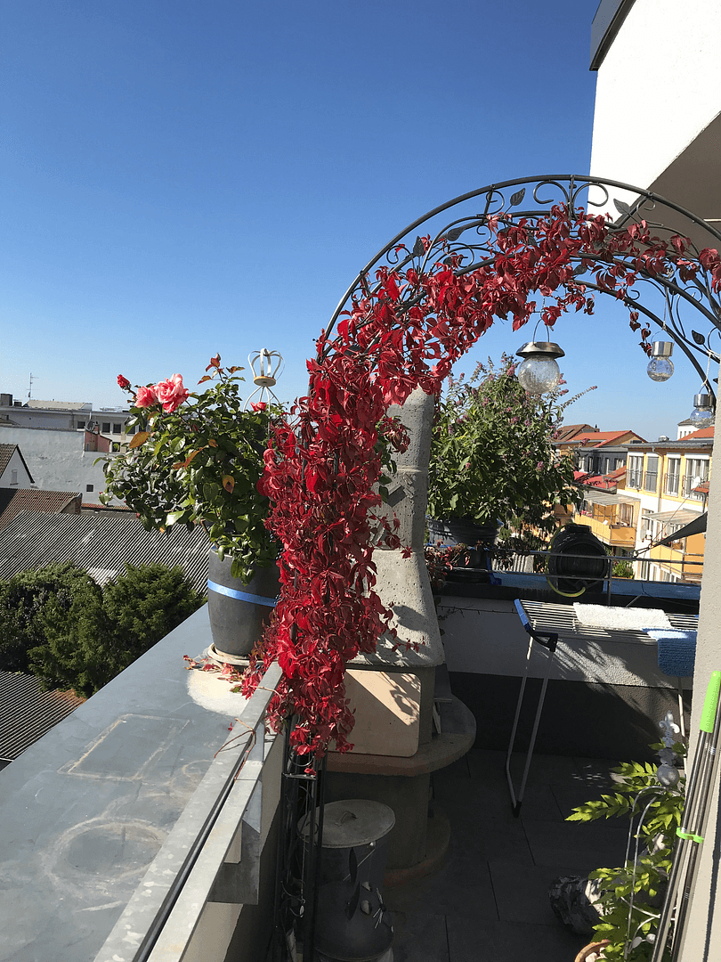 Prodej bytu 3+1 124 m², Darmstadt, Hessen Prodej bytu 3+1 124 m², Darmstadt, Hessen