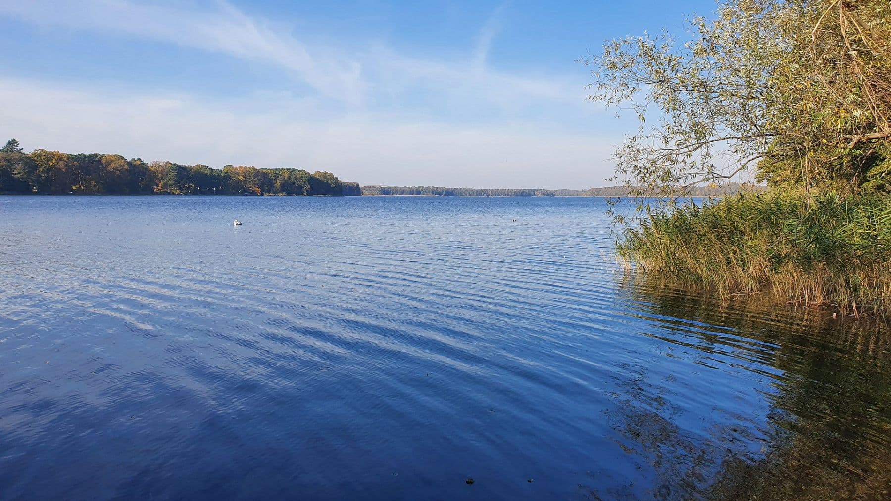 Pronájem bytu 2+1 48 m², Bergstraße 20, Mittenwalde, Braniborsko Pronájem bytu 2+1 48 m², Bergstraße 20, Mittenwalde, Braniborsko