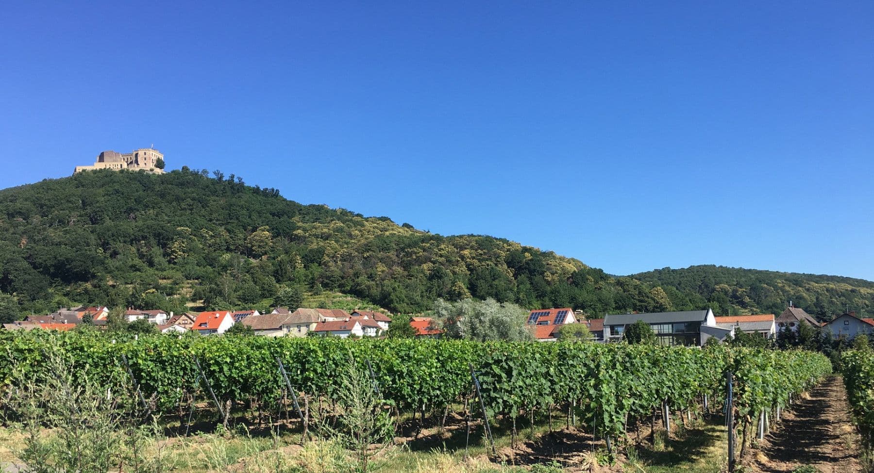 Prodej domu 297 m², pozemek 620 m², Neustadt an der Weinstraße, Ortsteil Hambach, Porýní-Falc Prodej domu 297 m², pozemek 620 m², Neustadt an der Weinstraße, Ortsteil Hambach, Porýní-Falc