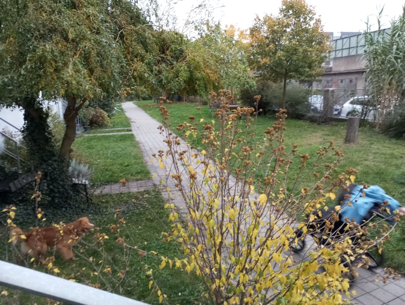 Pronájem bytu 2+kk 42 m², Osadní, Praha, Praha Pronájem bytu 2+kk 42 m², Osadní, Praha, Praha