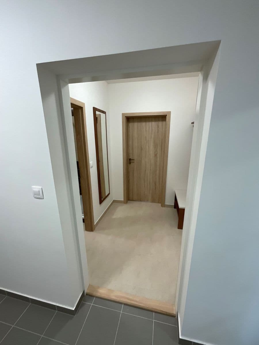 Pronájem bytu 1+kk 40 m², Žitavská, Jihlava, Kraj Vysočina Pronájem bytu 1+kk 40 m², Žitavská, Jihlava, Kraj Vysočina