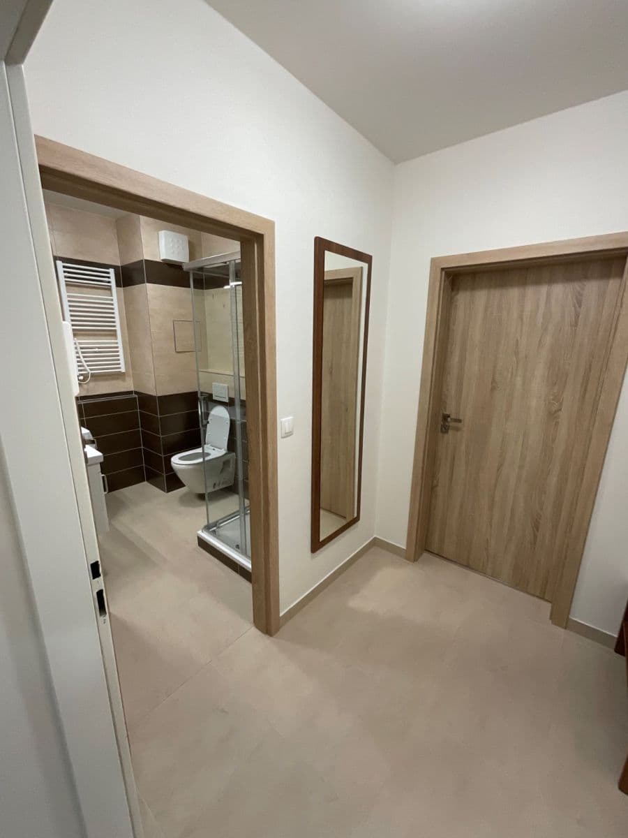 Pronájem bytu 1+kk 40 m², Žitavská, Jihlava, Kraj Vysočina Pronájem bytu 1+kk 40 m², Žitavská, Jihlava, Kraj Vysočina