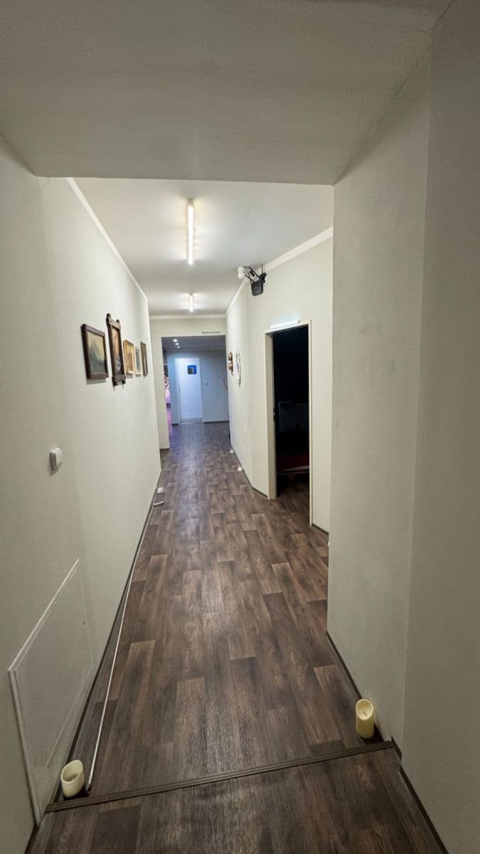 Prodej nebytového prostoru 200 m², Velehradská, Praha, Praha Prodej nebytového prostoru 200 m², Velehradská, Praha, Praha