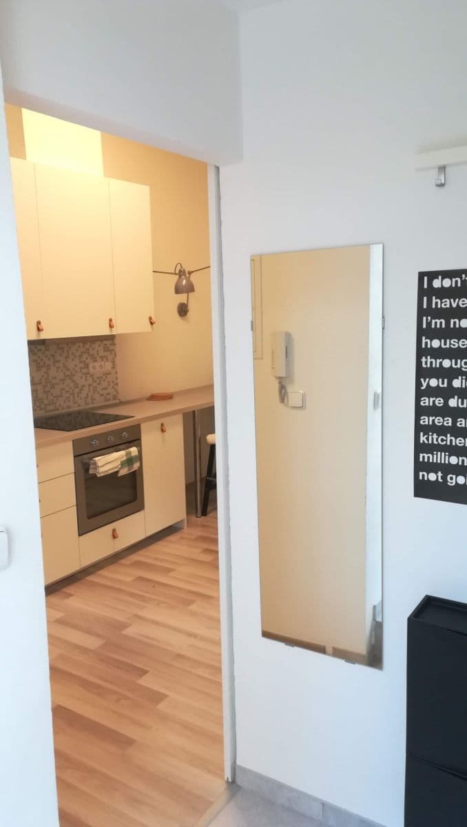 Pronájem bytu 1+1 42 m², Šlikova, Praha, Praha Pronájem bytu 1+1 42 m², Šlikova, Praha, Praha