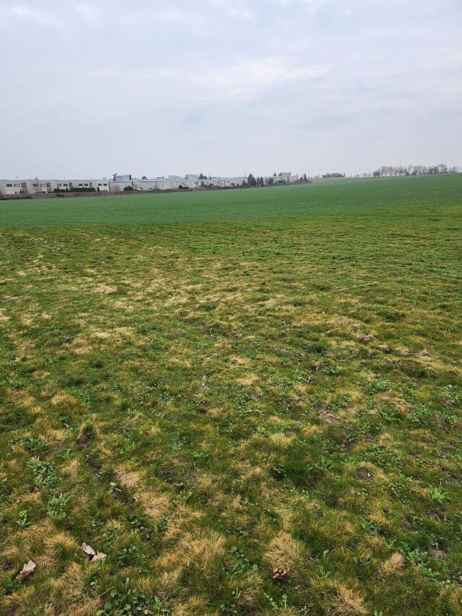 Prodej pozemku 12.054 m², Zeleneč, Středočeský kraj Prodej pozemku 12.054 m², Zeleneč, Středočeský kraj