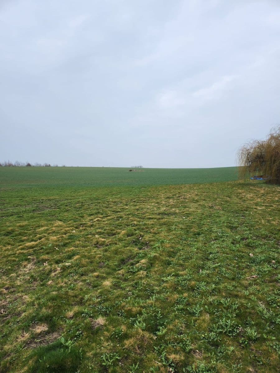 Prodej pozemku 12.054 m², Zeleneč, Středočeský kraj Prodej pozemku 12.054 m², Zeleneč, Středočeský kraj