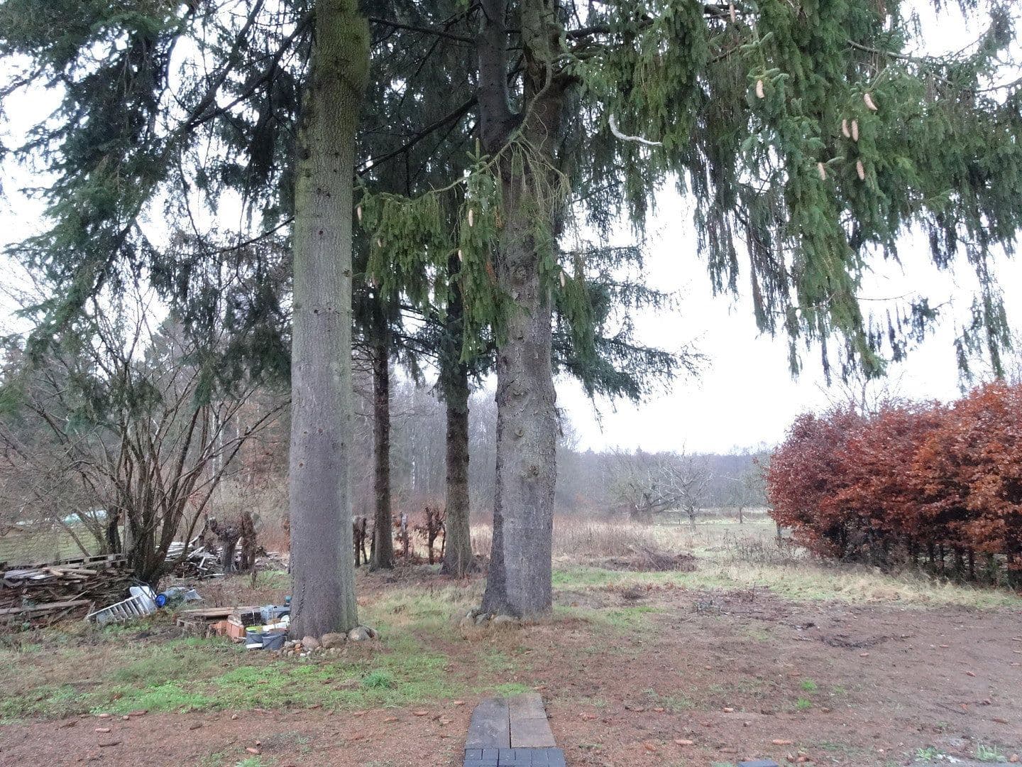 Prodej domu 105 m², pozemek 4.654 m², Steinhorst, Dolní Sasko Prodej domu 105 m², pozemek 4.654 m², Steinhorst, Dolní Sasko