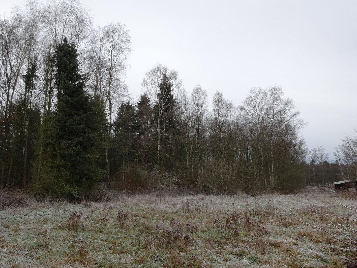 Prodej domu 105 m², pozemek 4.654 m², Steinhorst, Dolní Sasko Prodej domu 105 m², pozemek 4.654 m², Steinhorst, Dolní Sasko