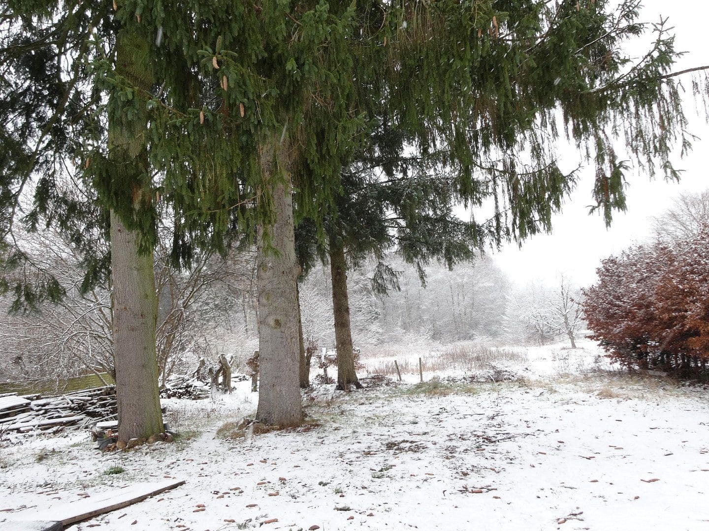 Prodej domu 105 m², pozemek 4.654 m², Steinhorst, Dolní Sasko Prodej domu 105 m², pozemek 4.654 m², Steinhorst, Dolní Sasko