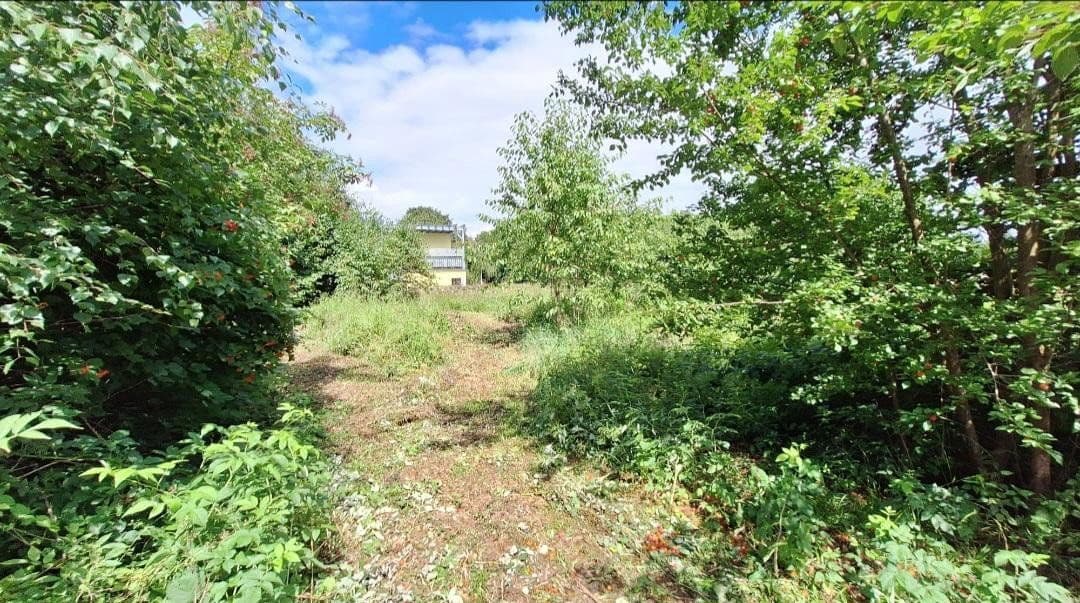 Prodej pozemku 4.500 m², Weidenhüll bei Leienfels 1, Pottenstein, Bavorsko Prodej pozemku 4.500 m², Weidenhüll bei Leienfels 1, Pottenstein, Bavorsko