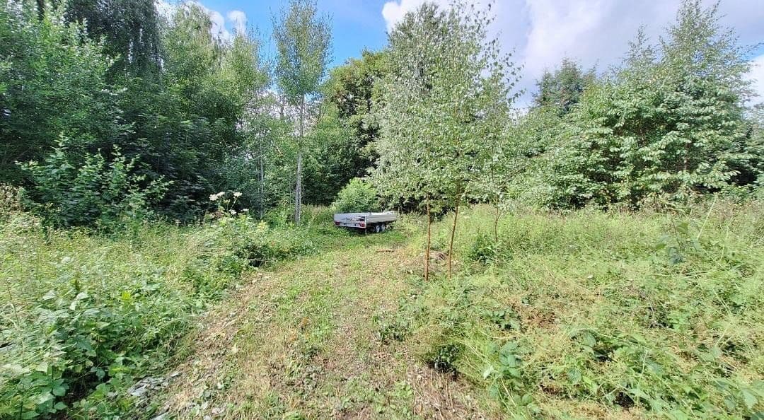 Prodej pozemku 4.500 m², Weidenhüll bei Leienfels 1, Pottenstein, Bavorsko Prodej pozemku 4.500 m², Weidenhüll bei Leienfels 1, Pottenstein, Bavorsko