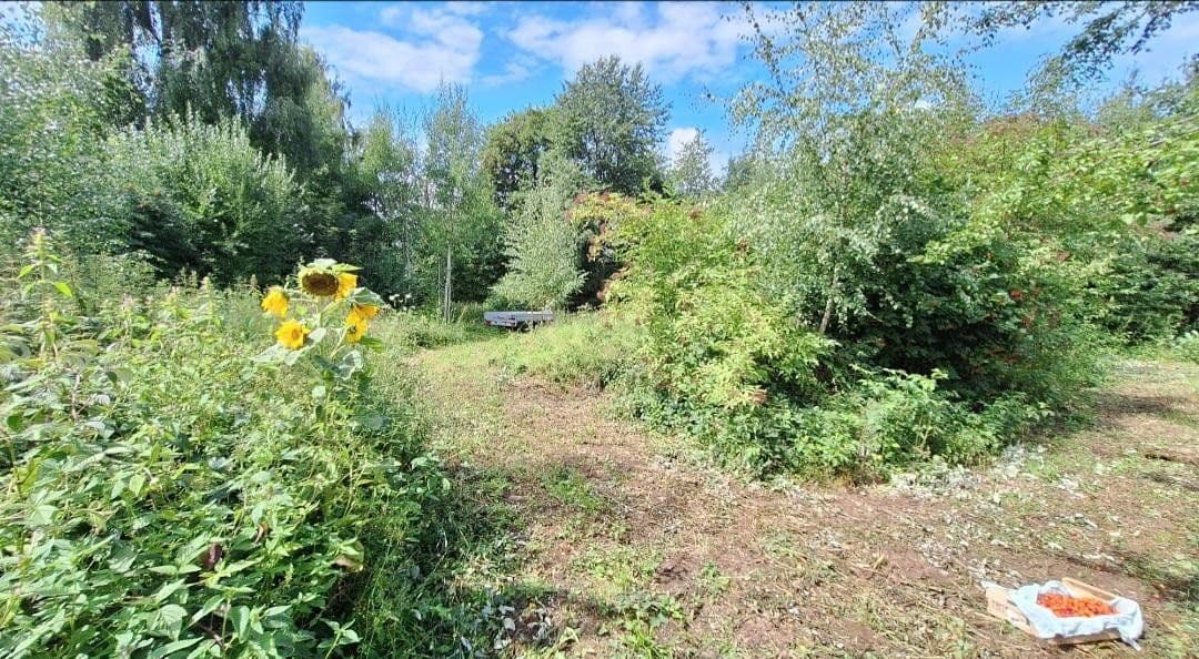 Prodej pozemku 4.500 m², Weidenhüll bei Leienfels 1, Pottenstein, Bavorsko Prodej pozemku 4.500 m², Weidenhüll bei Leienfels 1, Pottenstein, Bavorsko