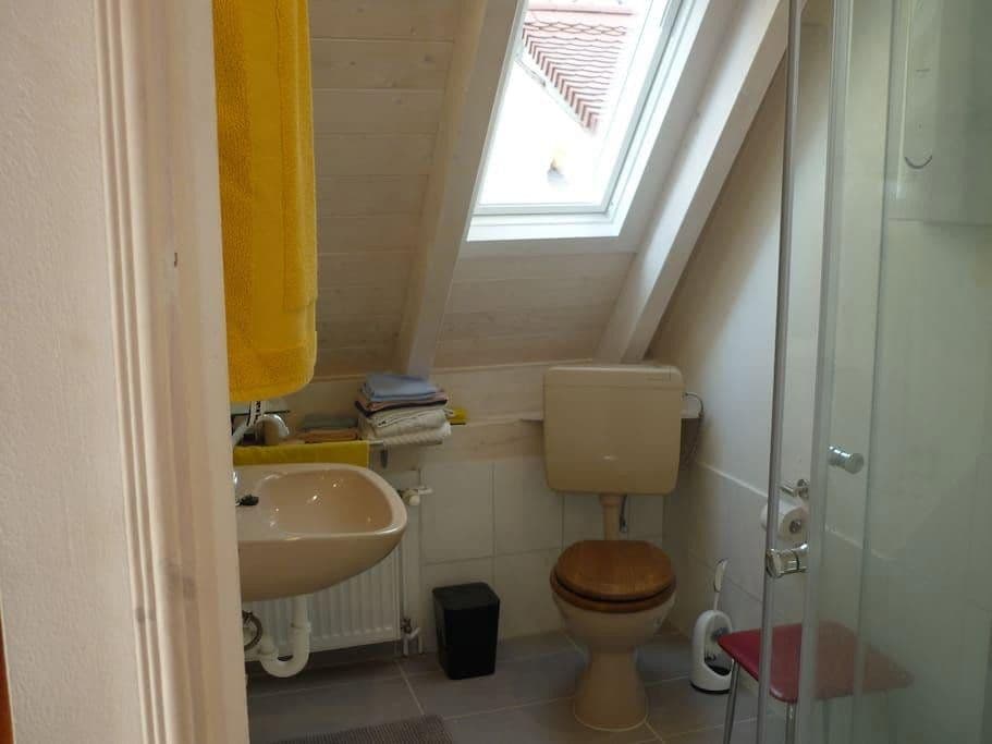 Pronájem bytu 1+1 40 m², Bockenheim an der Weinstraße, Porýní-Falc Pronájem bytu 1+1 40 m², Bockenheim an der Weinstraße, Porýní-Falc