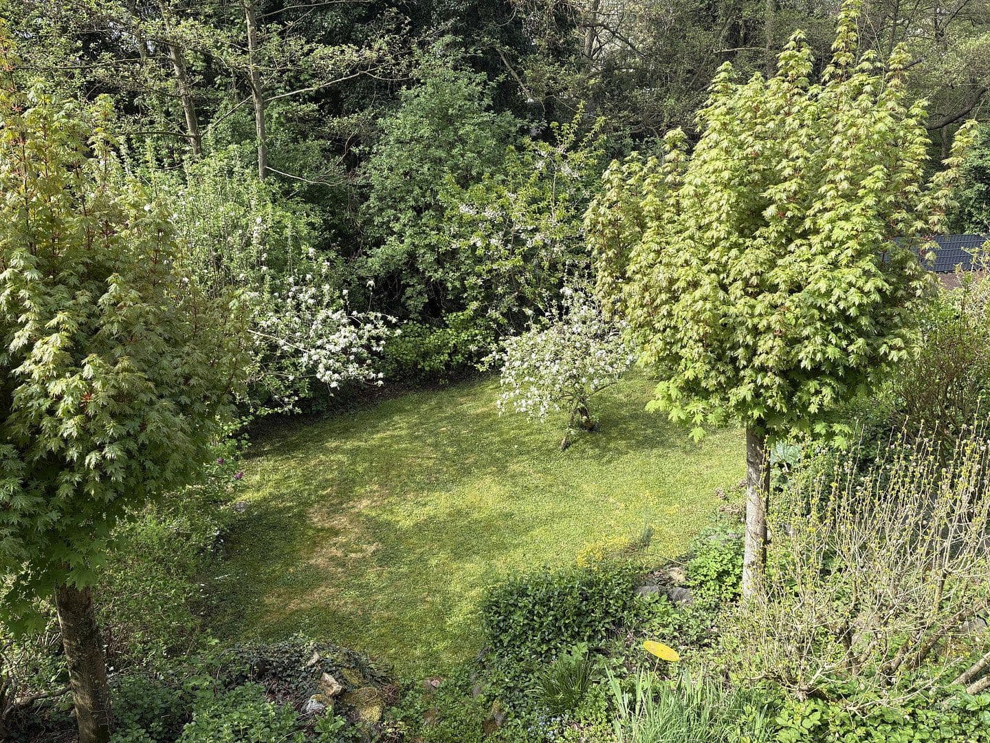 Prodej domu 177 m², pozemek 432 m², Henri-Spaak-Str. 160, Alfter, Severní Porýní-Vestfálsko Prodej domu 177 m², pozemek 432 m², Henri-Spaak-Str. 160, Alfter, Severní Porýní-Vestfálsko