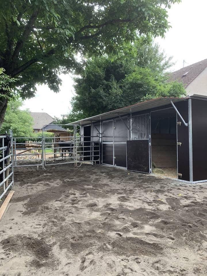 Prodej domu 350 m², pozemek 2.400 m², Schöneberg, Porýní-Falc Prodej domu 350 m², pozemek 2.400 m², Schöneberg, Porýní-Falc