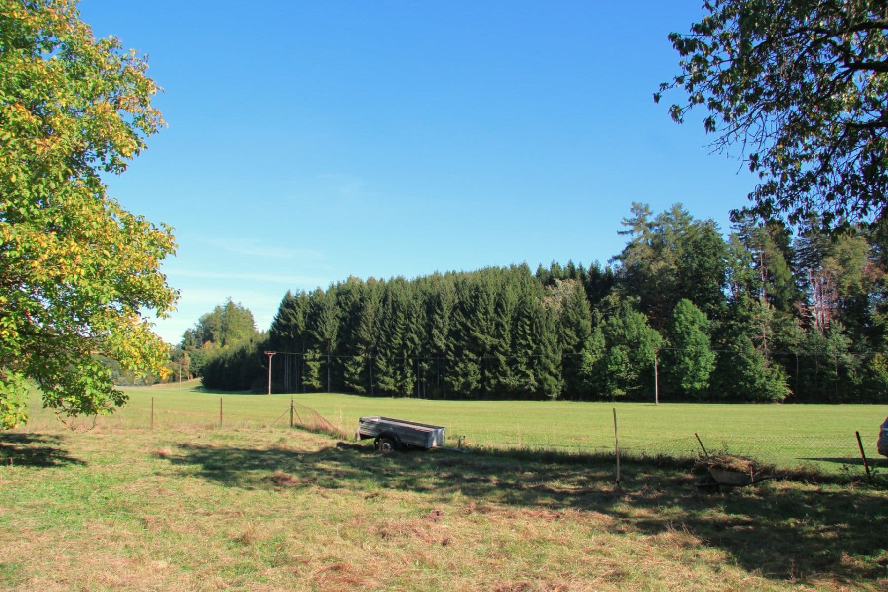 Prodej pozemku 7.344 m², Betlém, Žamberk, Pardubický kraj Prodej pozemku 7.344 m², Betlém, Žamberk, Pardubický kraj