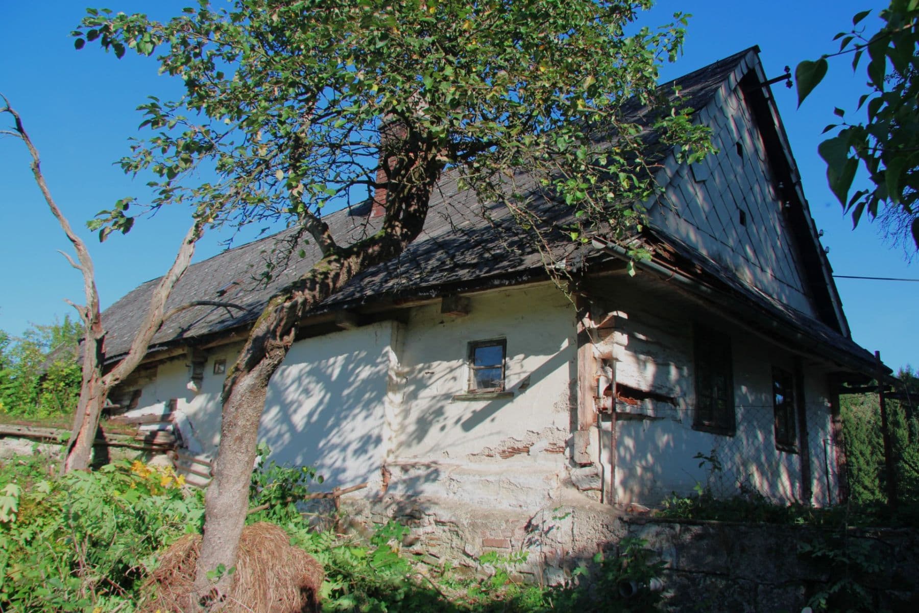 Prodej pozemku 7.344 m², Betlém, Žamberk, Pardubický kraj Prodej pozemku 7.344 m², Betlém, Žamberk, Pardubický kraj
