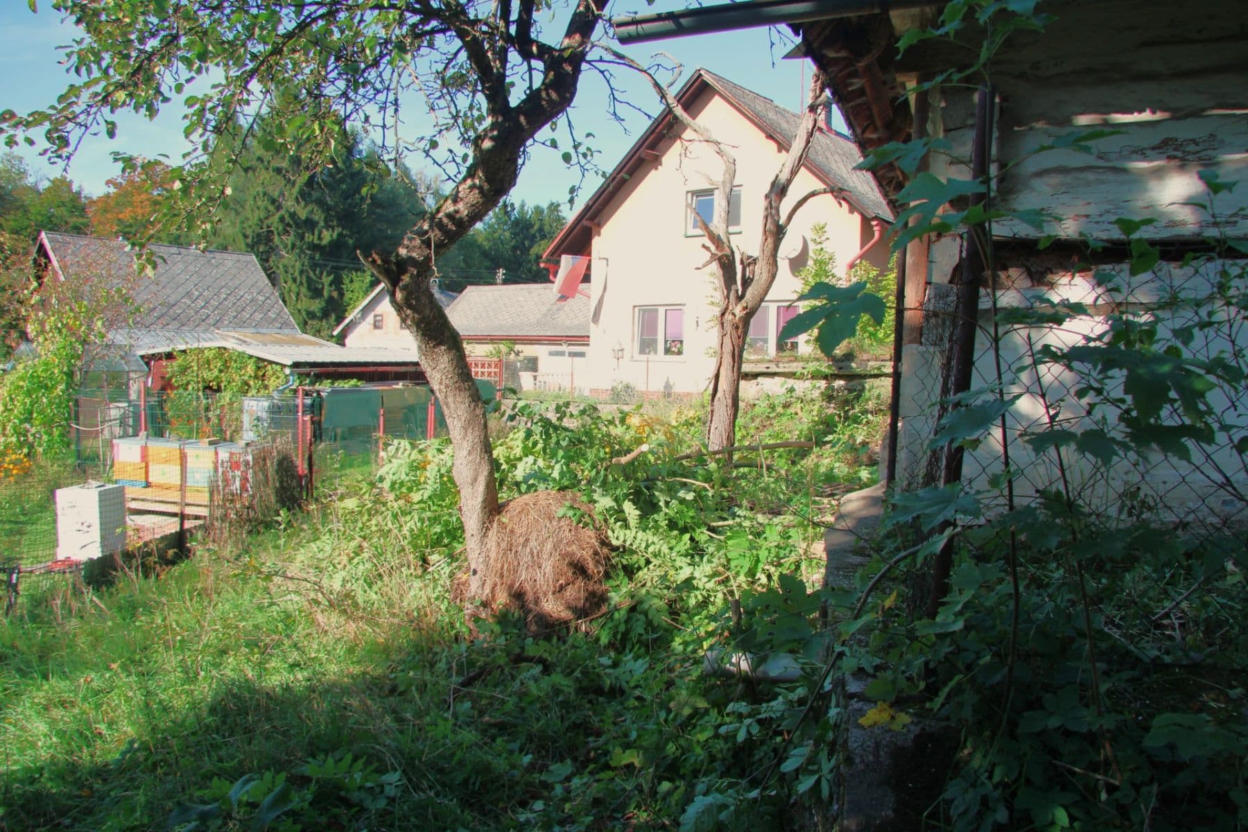 Prodej pozemku 7.344 m², Betlém, Žamberk, Pardubický kraj Prodej pozemku 7.344 m², Betlém, Žamberk, Pardubický kraj