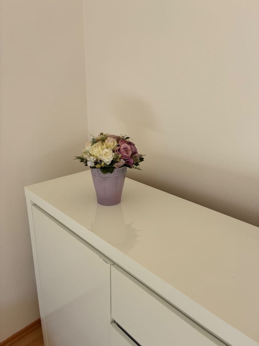 Pronájem bytu 2+kk 64 m², Bělohorská, Brno, Jihomoravský kraj Pronájem bytu 2+kk 64 m², Bělohorská, Brno, Jihomoravský kraj