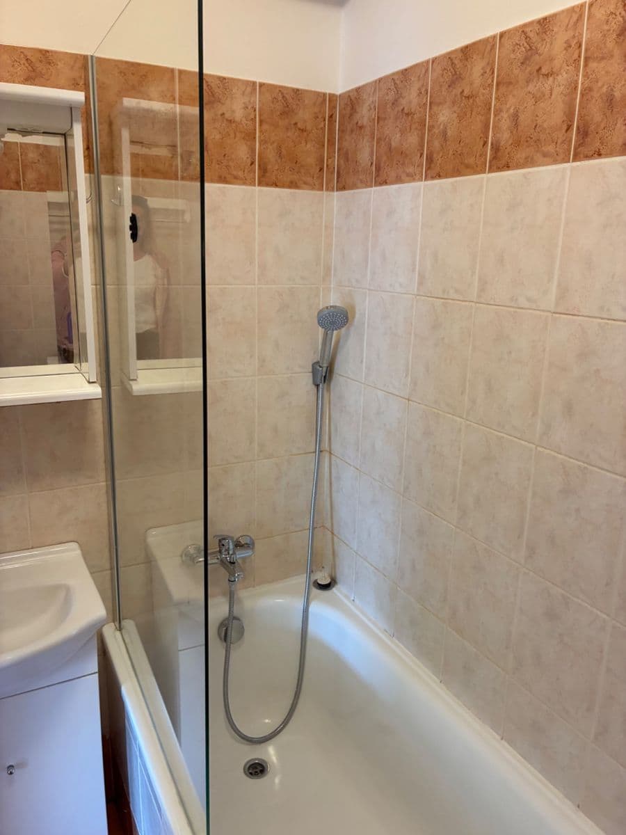 Pronájem bytu 2+kk 64 m², Bělohorská, Brno, Jihomoravský kraj Pronájem bytu 2+kk 64 m², Bělohorská, Brno, Jihomoravský kraj