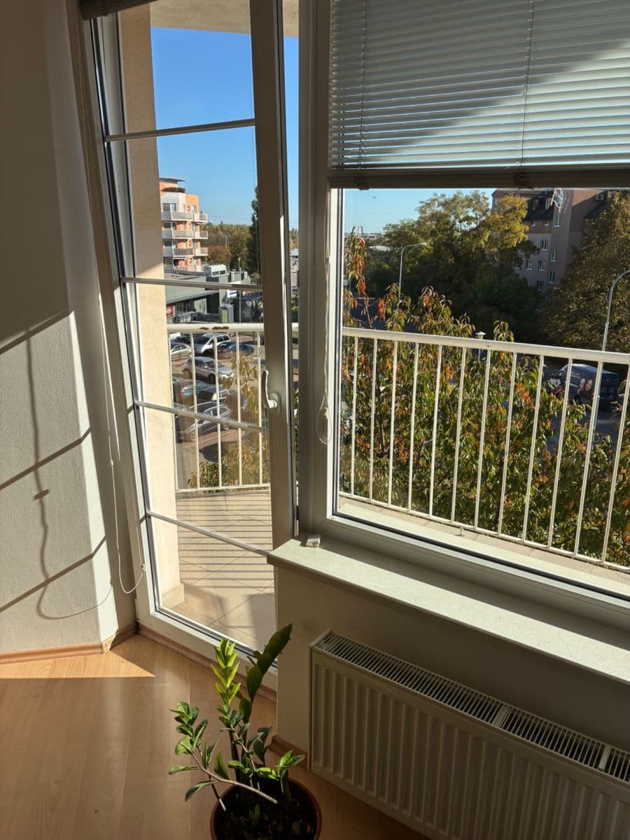 Pronájem bytu 2+kk 64 m², Bělohorská, Brno, Jihomoravský kraj Pronájem bytu 2+kk 64 m², Bělohorská, Brno, Jihomoravský kraj